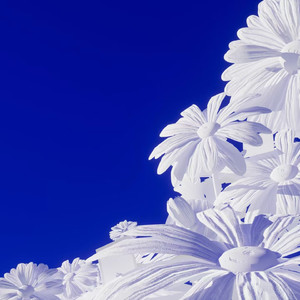 呻吟嗯啊销魂迎合h
